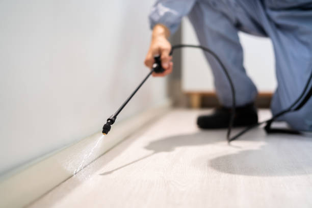 Licensed Termite Control service in Timber Pines, FL - Show Me Pest Control